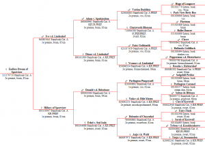 Stamboom Endless Dream